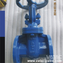 ANSI Cl150 # Ggg40 / Ggg50 Vanne de porte en fer ductile